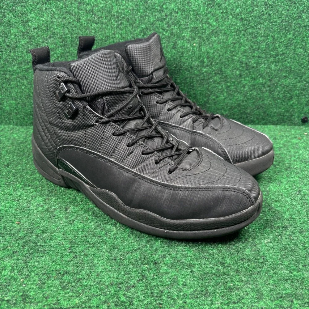 Jordan 12 retro